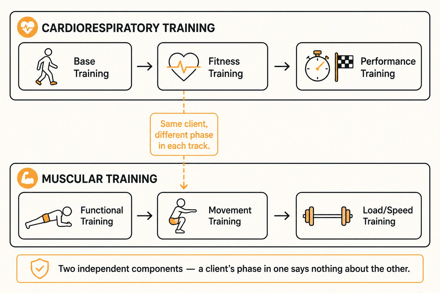 Diagram of the two independent tracks in the ACE IFT Model: Cardiorespiratory Training with Base, Fitness, and Performance phases, and Muscular Training with Functional, Movement, and Load/Speed phases, showing a client can be in a different phase in each track