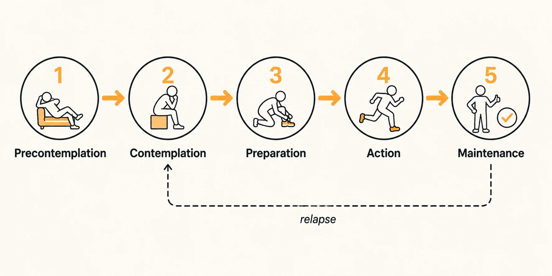 The five stages of the transtheoretical model in sequence: precontemplation, contemplation, preparation, action, and maintenance, with a dashed relapse arrow looping from maintenance back to contemplation