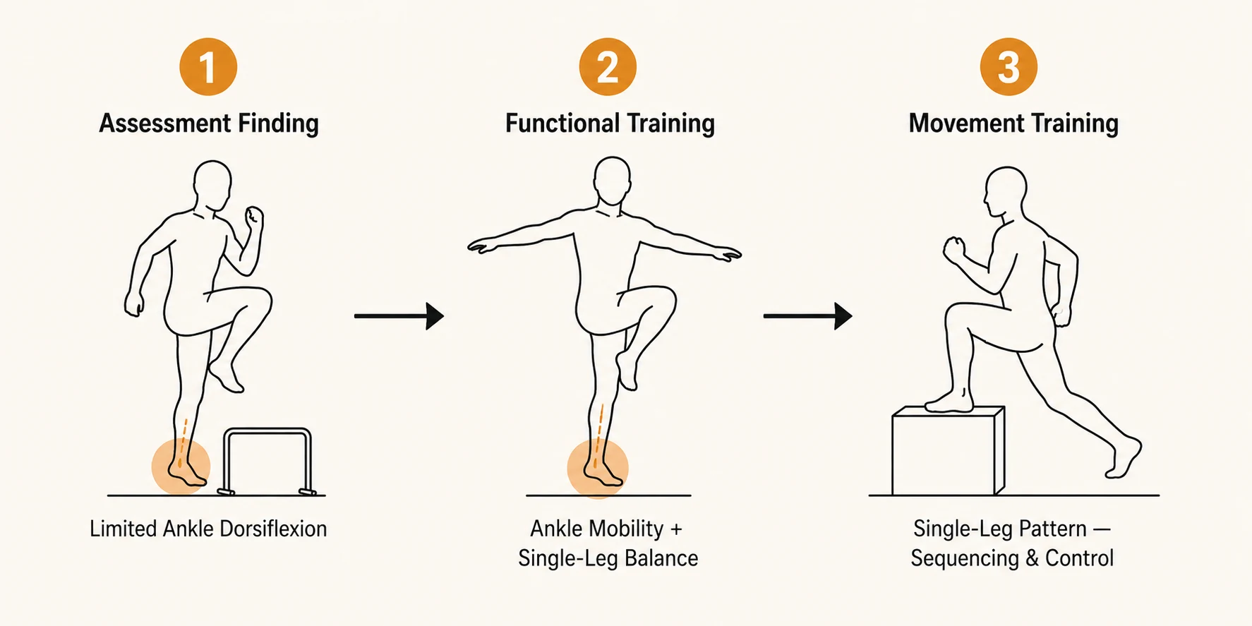 Three-stage diagram: an assessment finding of limited ankle dorsiflexion leads to Functional Training with ankle mobility and single-leg balance work, which progresses to Movement Training's single-leg step-up pattern
