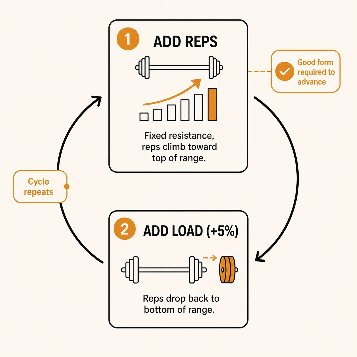 Loop diagram of the double-progressive protocol: add reps at a fixed resistance until the top of the rep range with good form, then add 5% load and drop back to the bottom of the rep range, repeating the cycle