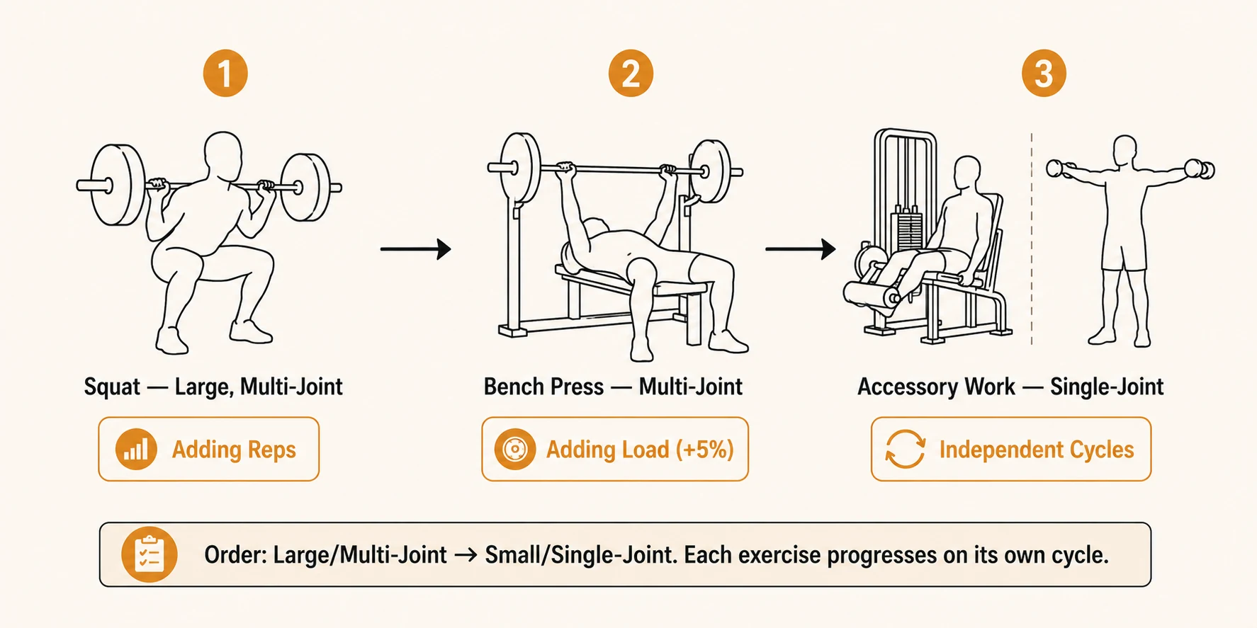 A worked session order showing squat first as a large multi-joint exercise adding reps, bench press second adding load, and accessory work last with each exercise progressing on its own independent cycle
