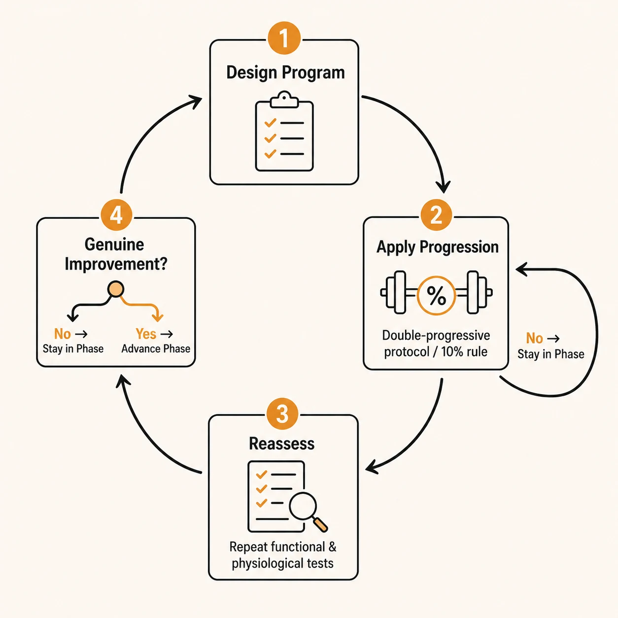 Four-stage cycle diagram: design the program, apply progression using the double-progressive protocol or 10% rule, reassess with functional and physiological tests, and either advance or stay in the current phase based on genuine improvement