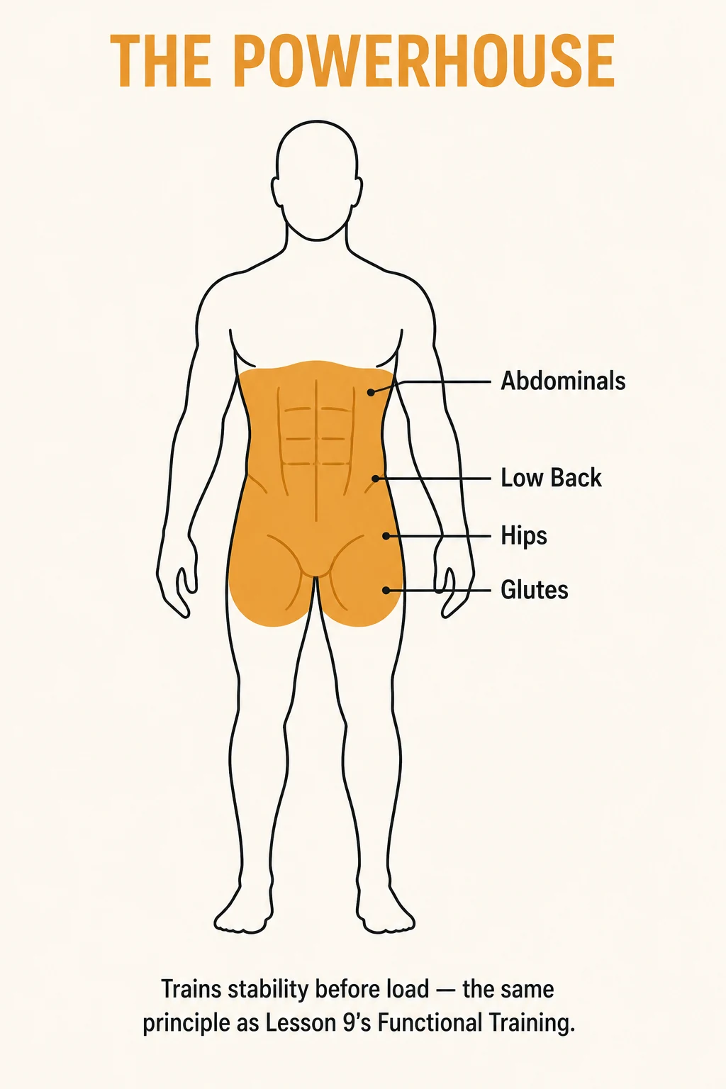 Body diagram highlighting the Pilates powerhouse muscle group: abdominals, low back, hips, and glutes, which trains stability before load