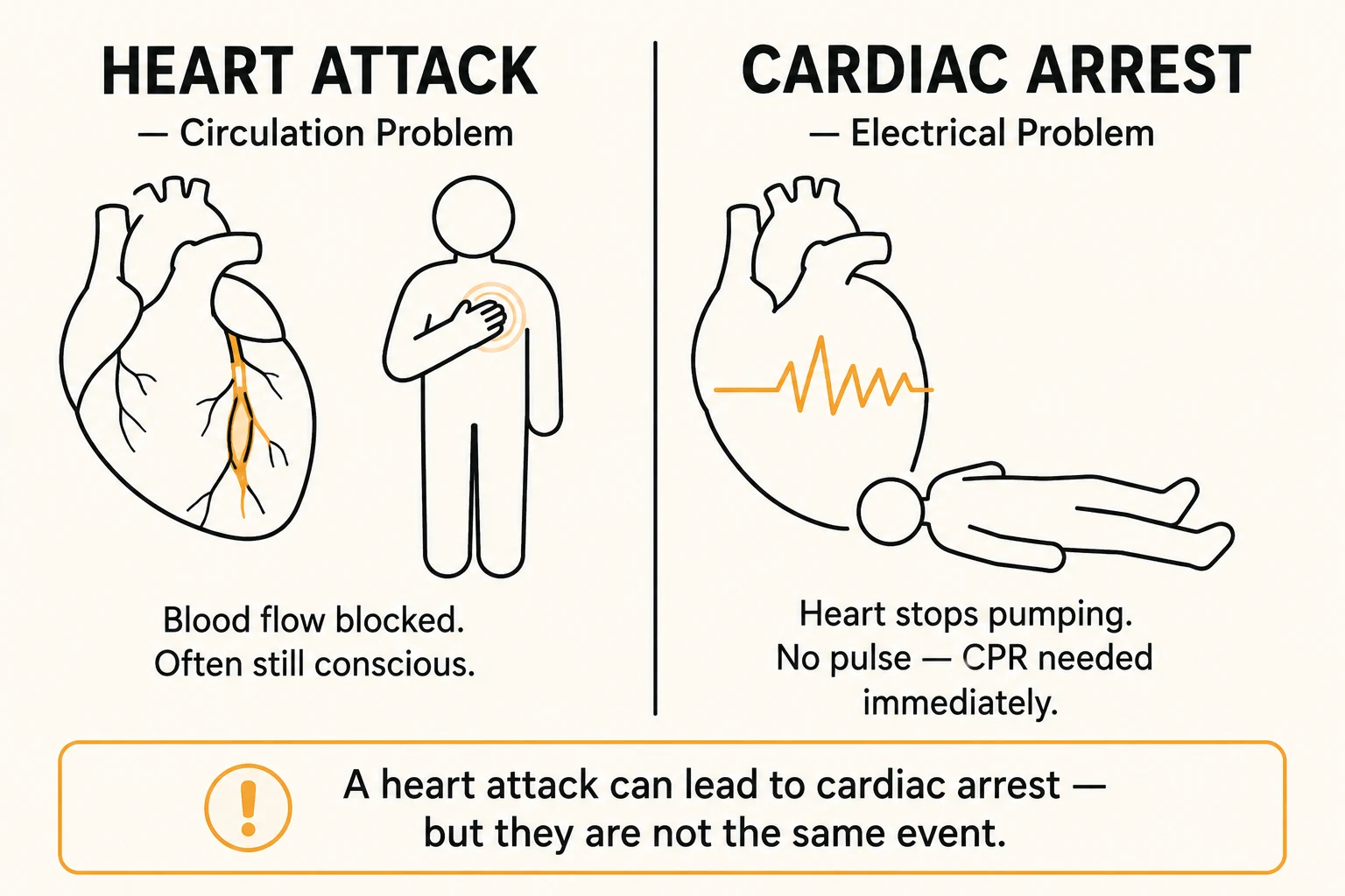 Comparison of a heart attack, a circulation problem where blood flow is blocked and the person is often still conscious, versus cardiac arrest, an electrical problem where the heart stops pumping and the person collapses with no pulse