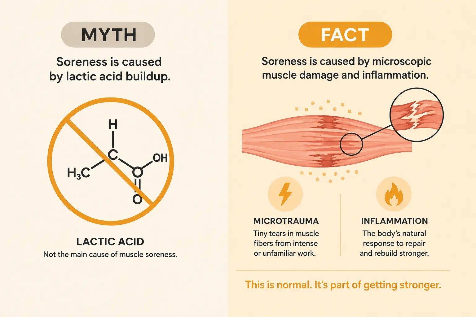 A myth vs fact diagram contrasting the lactic acid myth with the actual microtrauma and inflammation mechanism behind DOMS