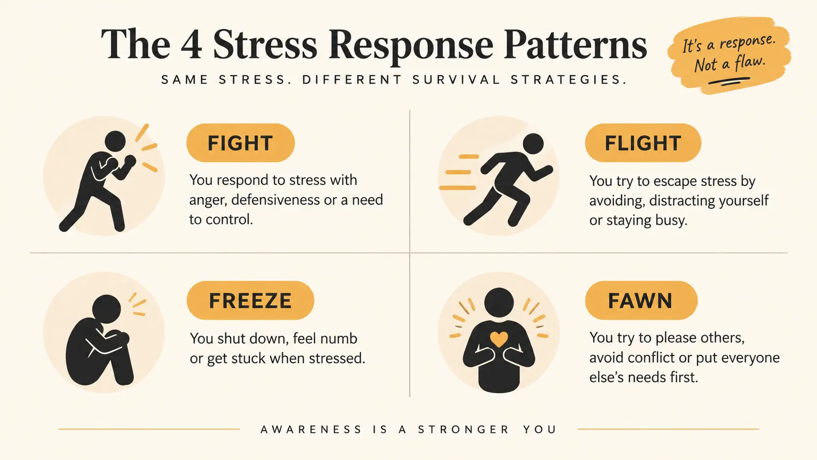 An infographic diagram showing the four stress response patterns — fight, flight, freeze, and fawn — each with a brief description of what it looks like