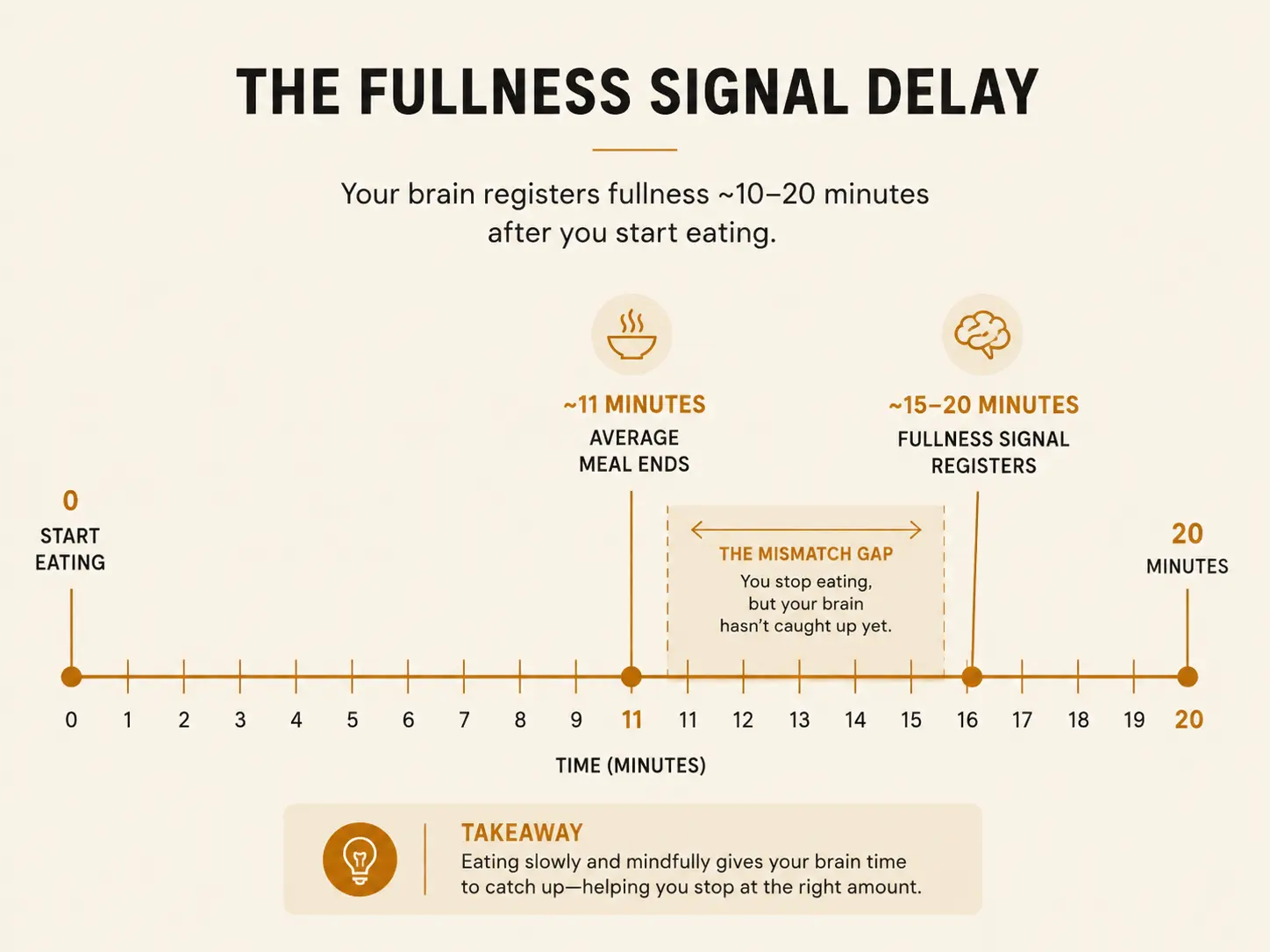 A timeline chart showing the gap between when a fast meal ends and when the gut-to-brain fullness signal actually arrives