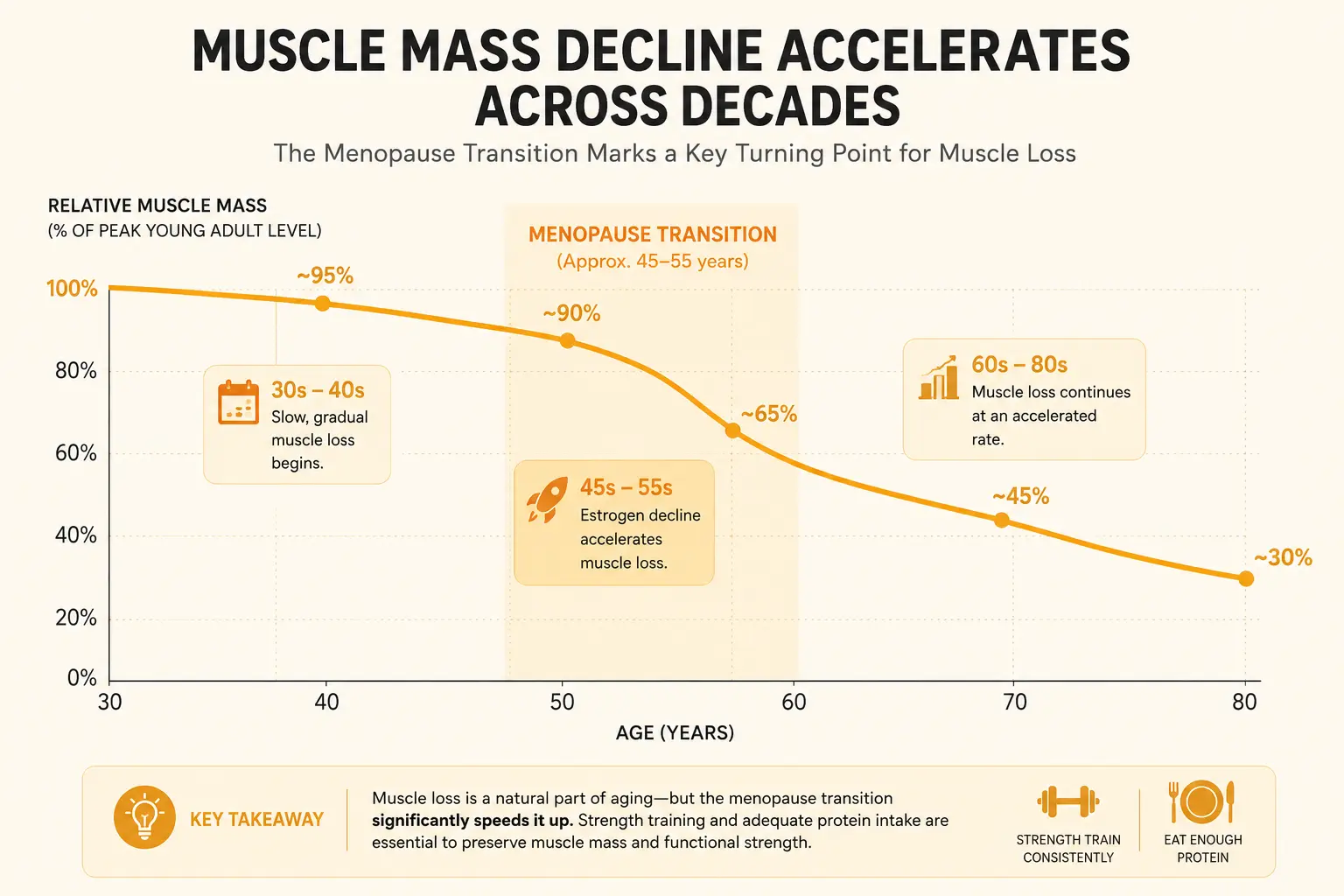 A chart showing the rate of age-related muscle loss accelerating from a person's 30s through their 70s and 80s, with a distinct acceleration point during menopause
