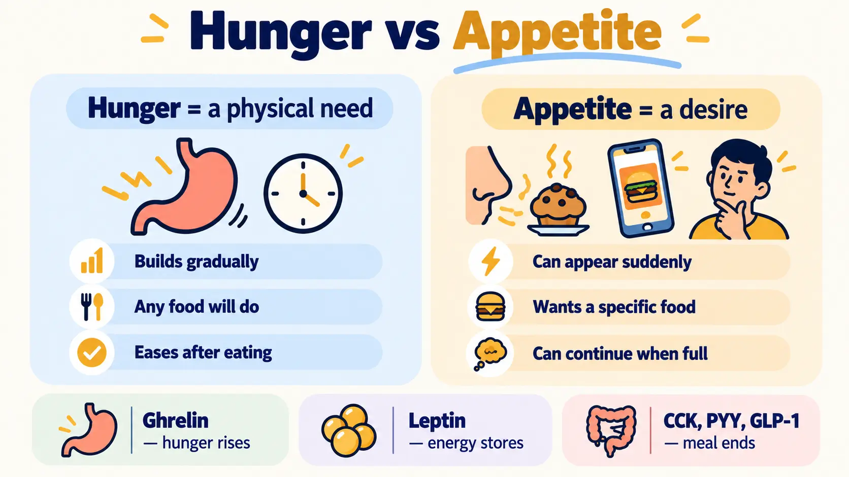 Hunger is a physical need and appetite is a desire, with ghrelin, leptin and gut hormones such as CCK, PYY and GLP-1