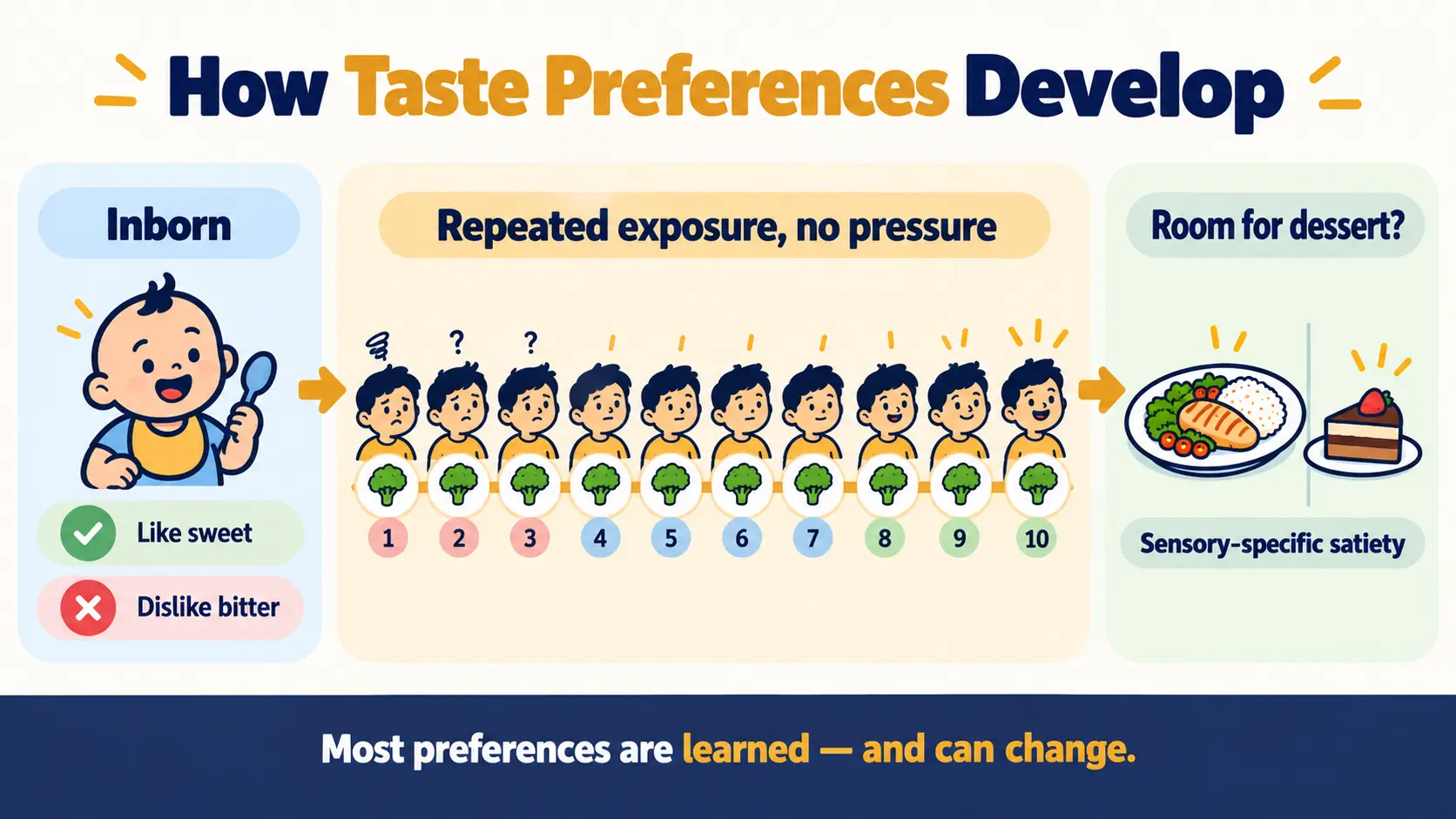 How taste preferences develop: inborn liking for sweet and dislike of bitter, repeated exposure over 10 tries, and sensory-specific satiety