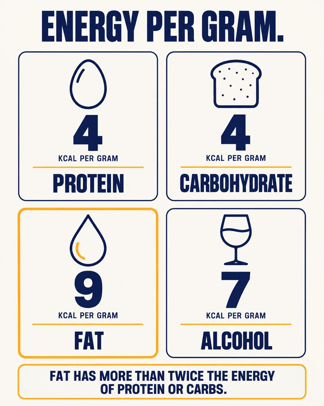 Four cards showing energy per gram: protein 4 kcal, carbohydrate 4 kcal, fat 9 kcal and alcohol 7 kcal, noting fat has more than twice the energy of protein or carbohydrate.