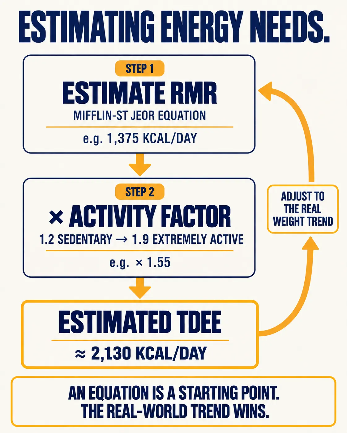 Flow diagram of estimating energy needs: estimate RMR with the Mifflin-St Jeor equation (for example 1,375 kcal), multiply by an activity factor (for example 1.55) to estimate TDEE (about 2,130 kcal), then adjust to the real weight trend.