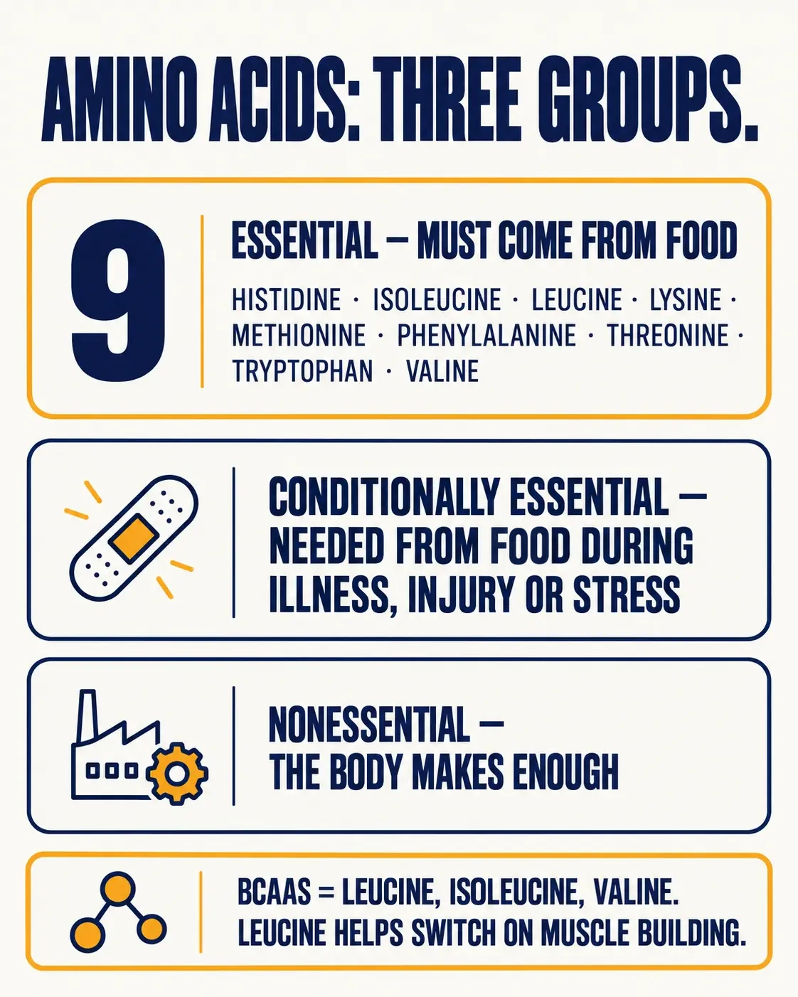The three groups of amino acids: 9 essential amino acids that must come from food (histidine, isoleucine, leucine, lysine, methionine, phenylalanine, threonine, tryptophan, valine), conditionally essential amino acids needed from food during illness, injury or stress, and nonessential amino acids the body makes enough of.