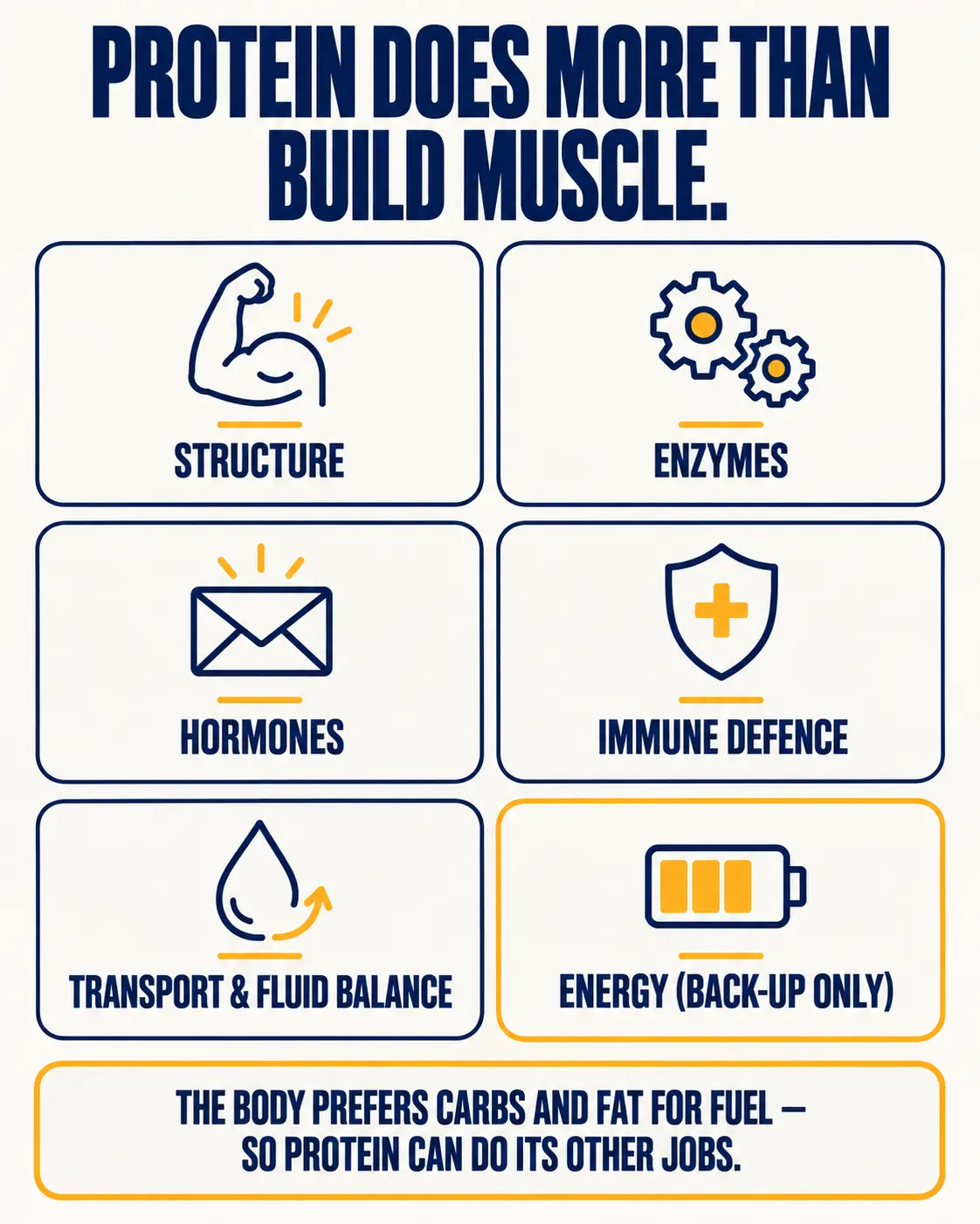 Six functions of protein: structure, enzymes, hormones, immune defence, transport and fluid balance, and energy as a back-up only.