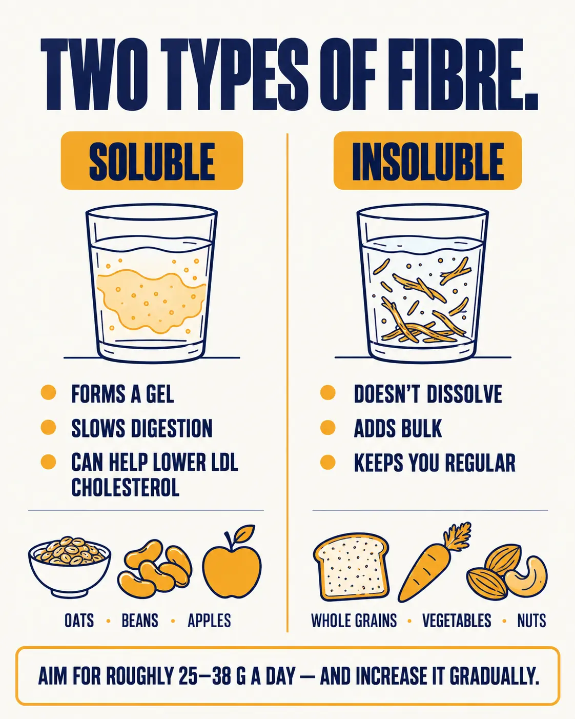 Soluble fibre forms a gel, slows digestion and can help lower LDL cholesterol (oats, beans, apples); insoluble fibre does not dissolve, adds bulk and keeps you regular (whole grains, vegetables, nuts). Aim for roughly 25 to 38 grams a day.