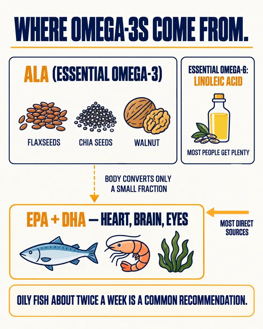 Omega-3 sources: ALA from flaxseeds, chia and walnuts is converted only in small amounts to EPA and DHA, whose most direct sources are fish, seafood and algae. The essential omega-6, linoleic acid, comes from vegetable oils and most people get plenty.