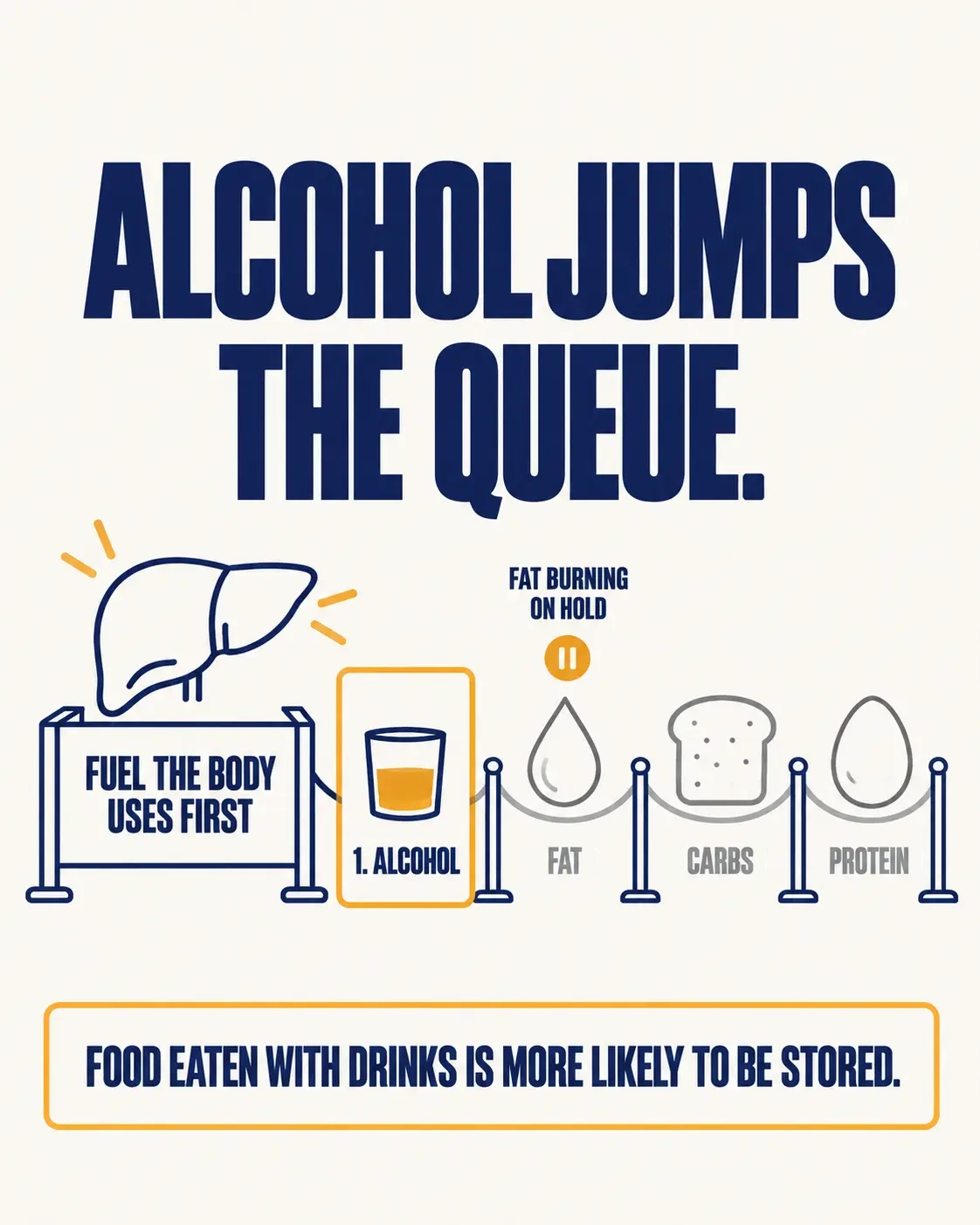 Alcohol jumps the queue: the liver uses alcohol for fuel first, so fat burning is put on hold and food eaten with drinks is more likely to be stored.