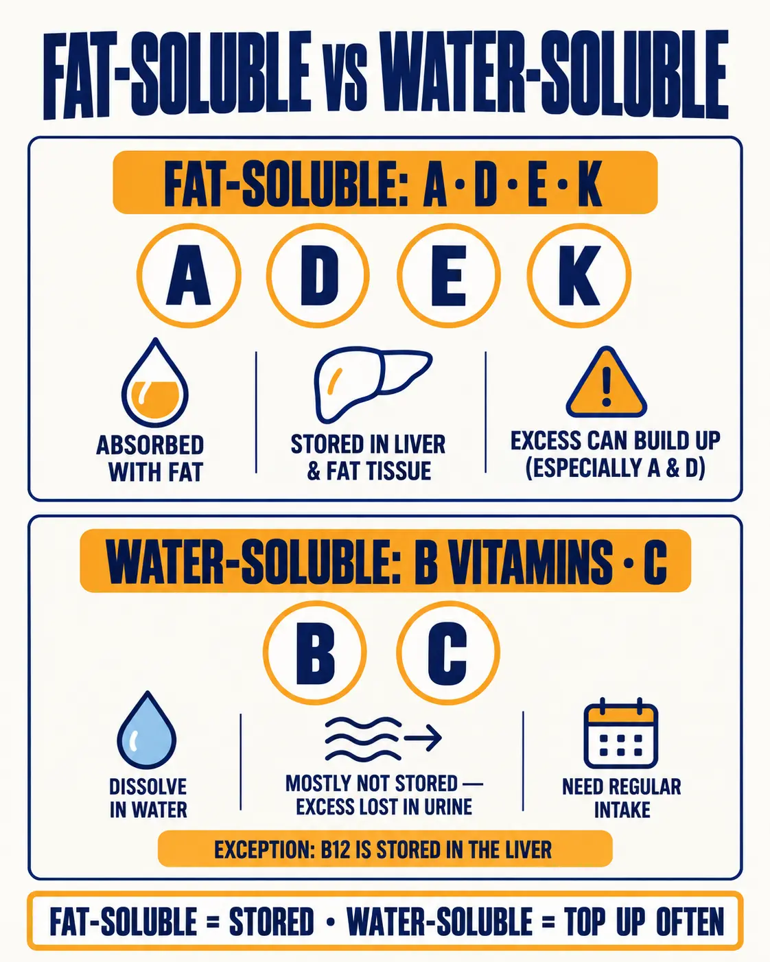 Fat-soluble vitamins A, D, E and K are absorbed with fat and stored; water-soluble B vitamins and C are mostly not stored, except B12