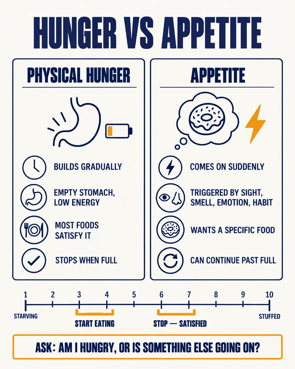 Physical hunger compared with appetite, with a 1 to 10 hunger–fullness scale showing when to start and stop eating