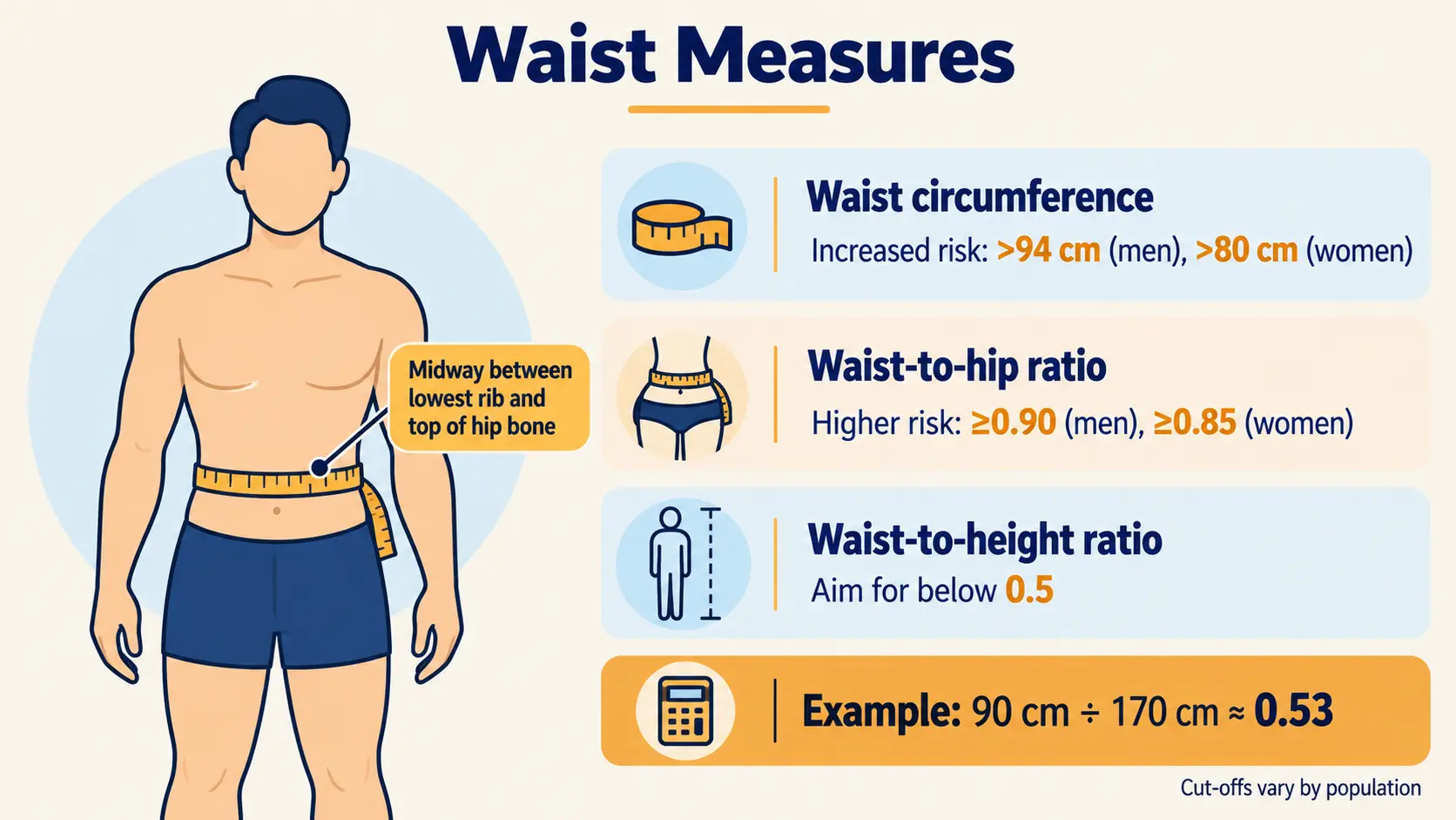 Where to measure the waist, with guides for waist circumference, waist-to-hip ratio and waist-to-height ratio
