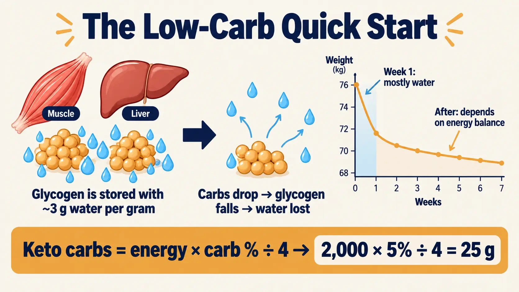 Early low-carb weight loss is mostly water lost with glycogen, plus the keto carbohydrate calculation 2,000 × 5% ÷ 4 = 25 g