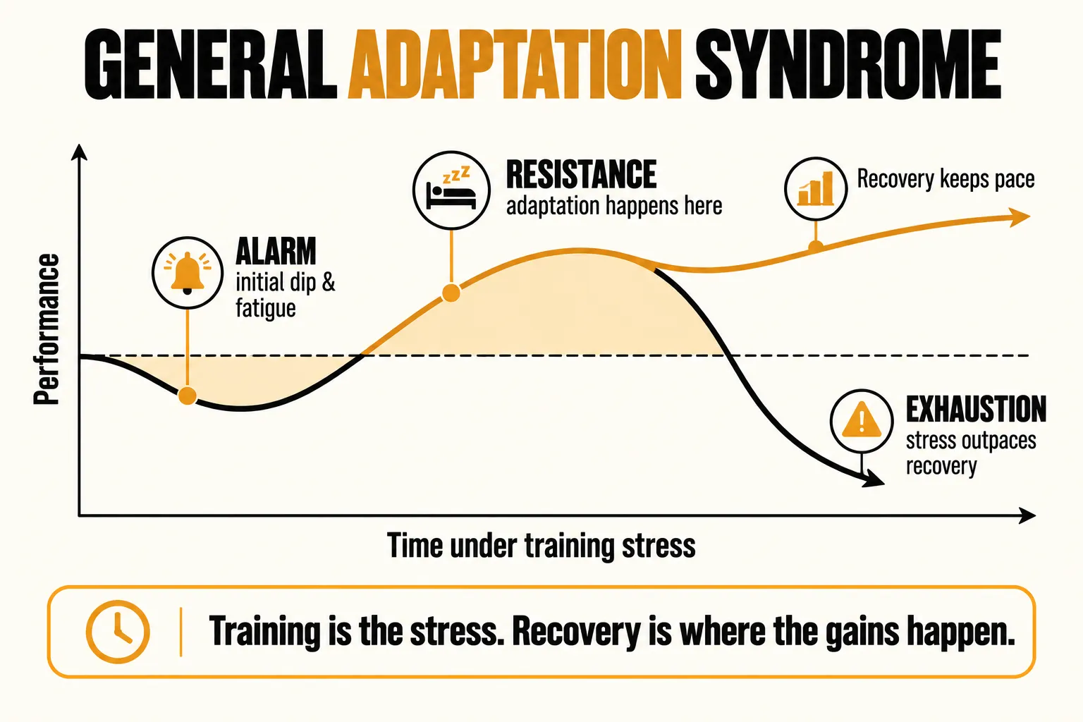 Line chart of the General Adaptation Syndrome: an alarm stage with an initial performance dip, a resistance stage where adaptation happens, then two paths, performance continuing to rise when recovery keeps pace or falling into exhaustion when stress outpaces recovery