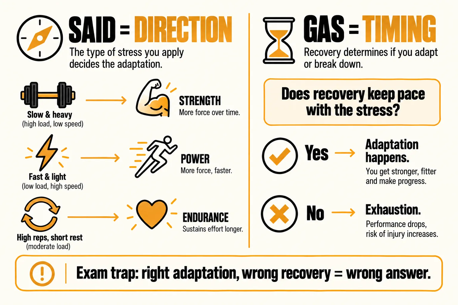 Comparison infographic: SAID equals direction, with slow and heavy training leading to strength, fast and light to power, and high reps with short rest to endurance; GAS equals timing, where adaptation happens only if recovery keeps pace with stress, otherwise exhaustion, with the caption exam trap, right adaptation, wrong recovery equals wrong answer