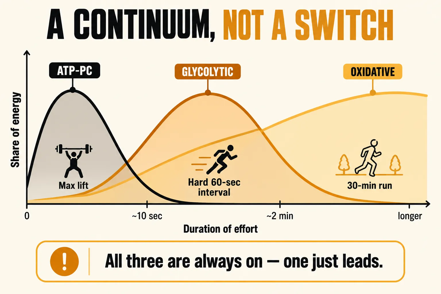 Overlapping curves of the three energy systems by duration of effort: ATP-PC leads up to about 10 seconds for a max lift, glycolytic leads from about 10 seconds to 2 minutes for a hard 60-second interval, and oxidative is present throughout and leads beyond about 2 minutes for a 30-minute run, with the caption all three are always on, one just leads