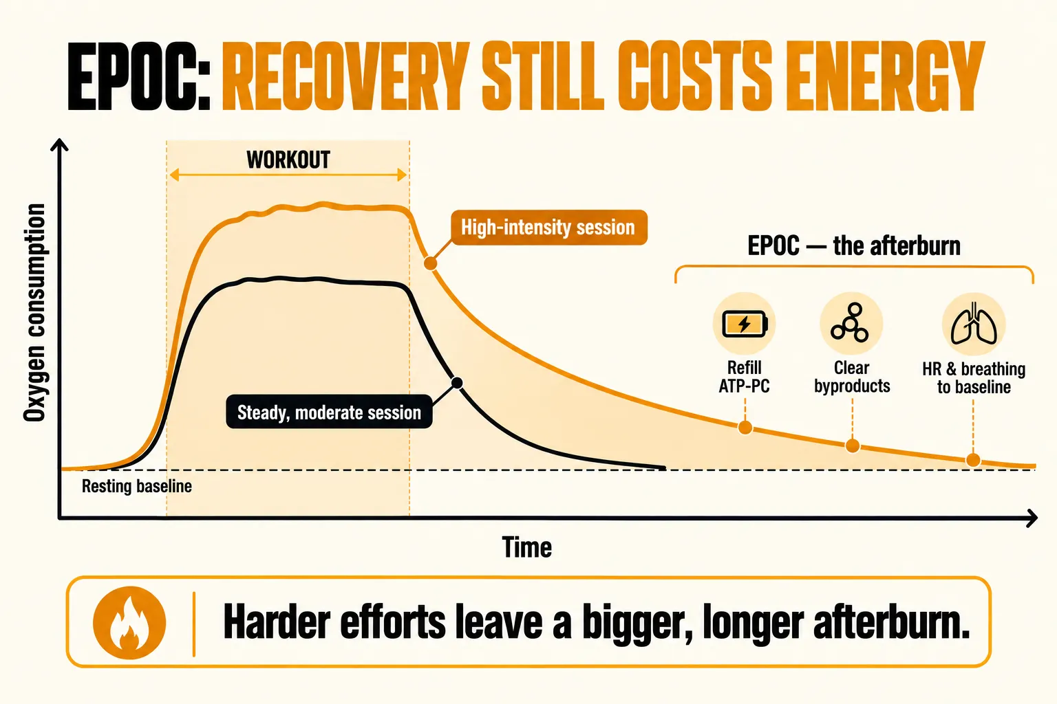 Chart of oxygen consumption over time: after the workout ends, a steady moderate session returns to the resting baseline quickly while a high-intensity session stays elevated longer, with the shaded EPOC afterburn covering refilling ATP-PC, clearing byproducts and returning heart rate and breathing to baseline