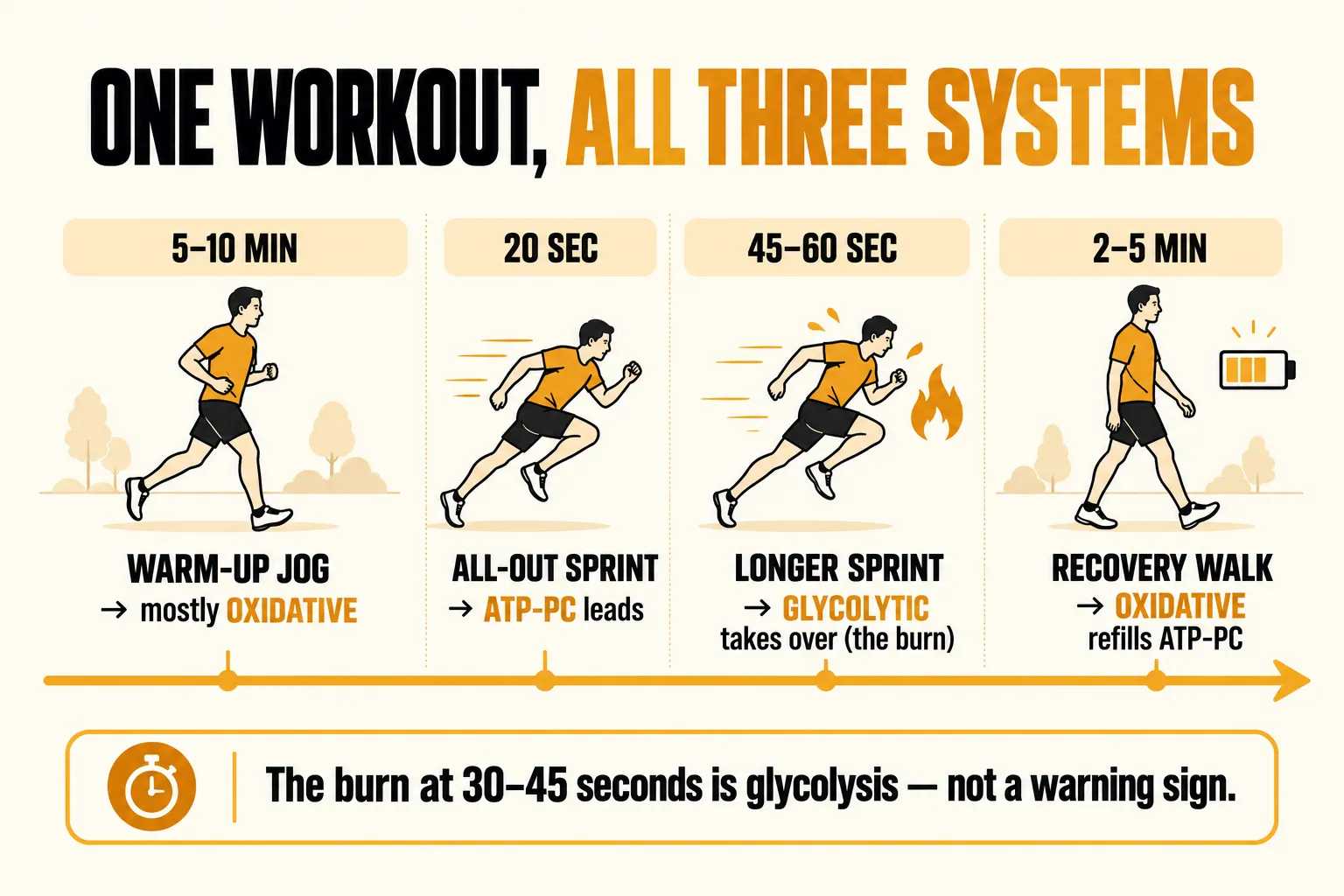 Timeline of one HIIT workout using all three energy systems: a warm-up jog that is mostly oxidative, a 20-second all-out sprint led by ATP-PC, a 45 to 60 second sprint where glycolytic takes over and the burn appears, and a recovery walk where the oxidative system refills ATP-PC, with the caption the burn at 30 to 45 seconds is glycolysis, not a warning sign