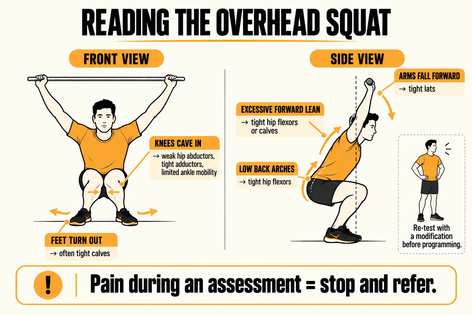 Overhead squat assessment compensations: from the front, feet turning out often suggests tight calves and knees caving in suggests weak hip abductors, tight adductors or limited ankle mobility; from the side, excessive forward lean suggests tight hip flexors or calves, a low-back arch suggests tight hip flexors, and arms falling forward suggests tight lats, with a reminder to re-test with a modification and to stop and refer if there is pain