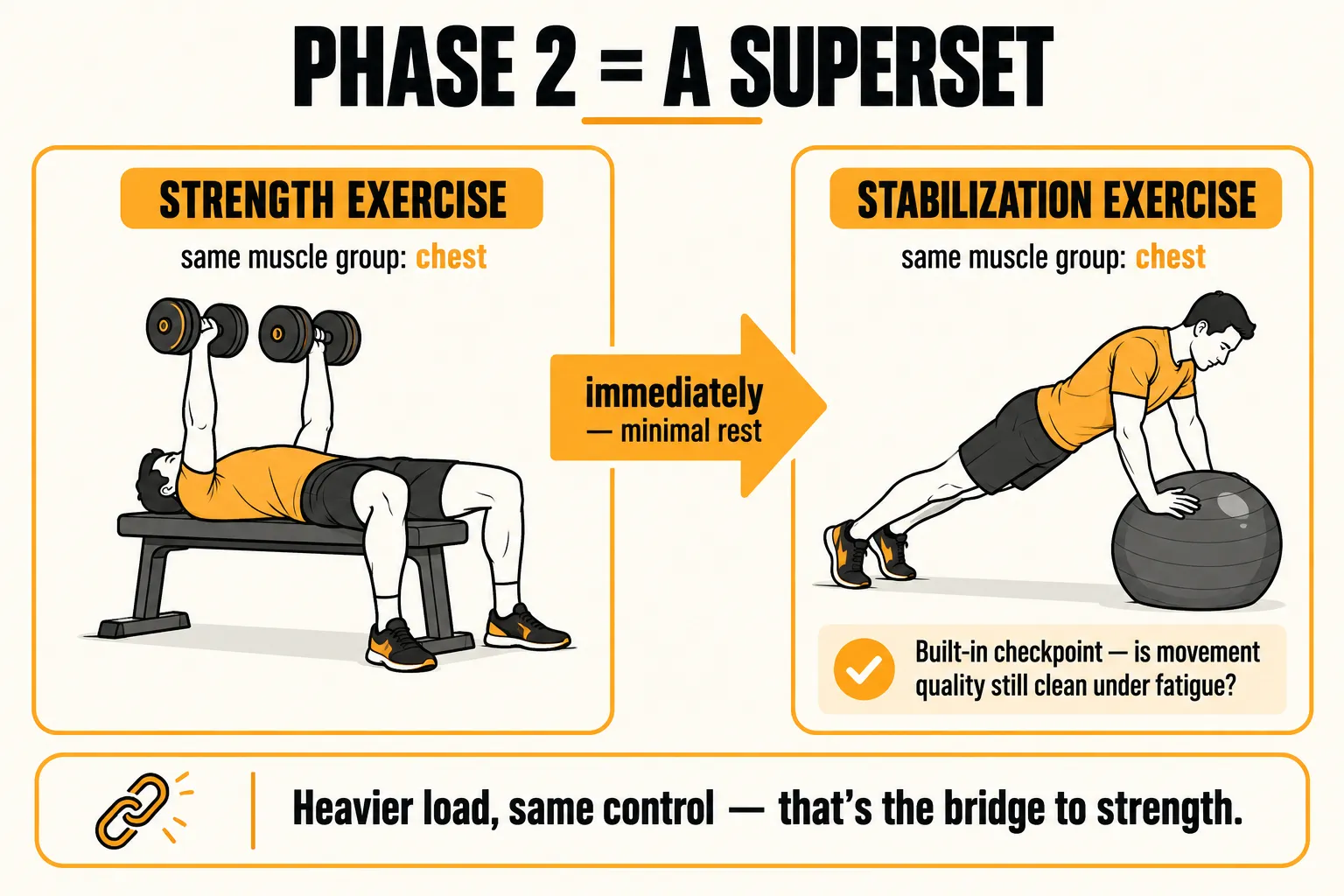 Phase 2 superset: a dumbbell bench press strength exercise followed immediately, with minimal rest, by a stability-ball push-up stabilization exercise for the same chest muscles, acting as a built-in checkpoint for movement quality under fatigue