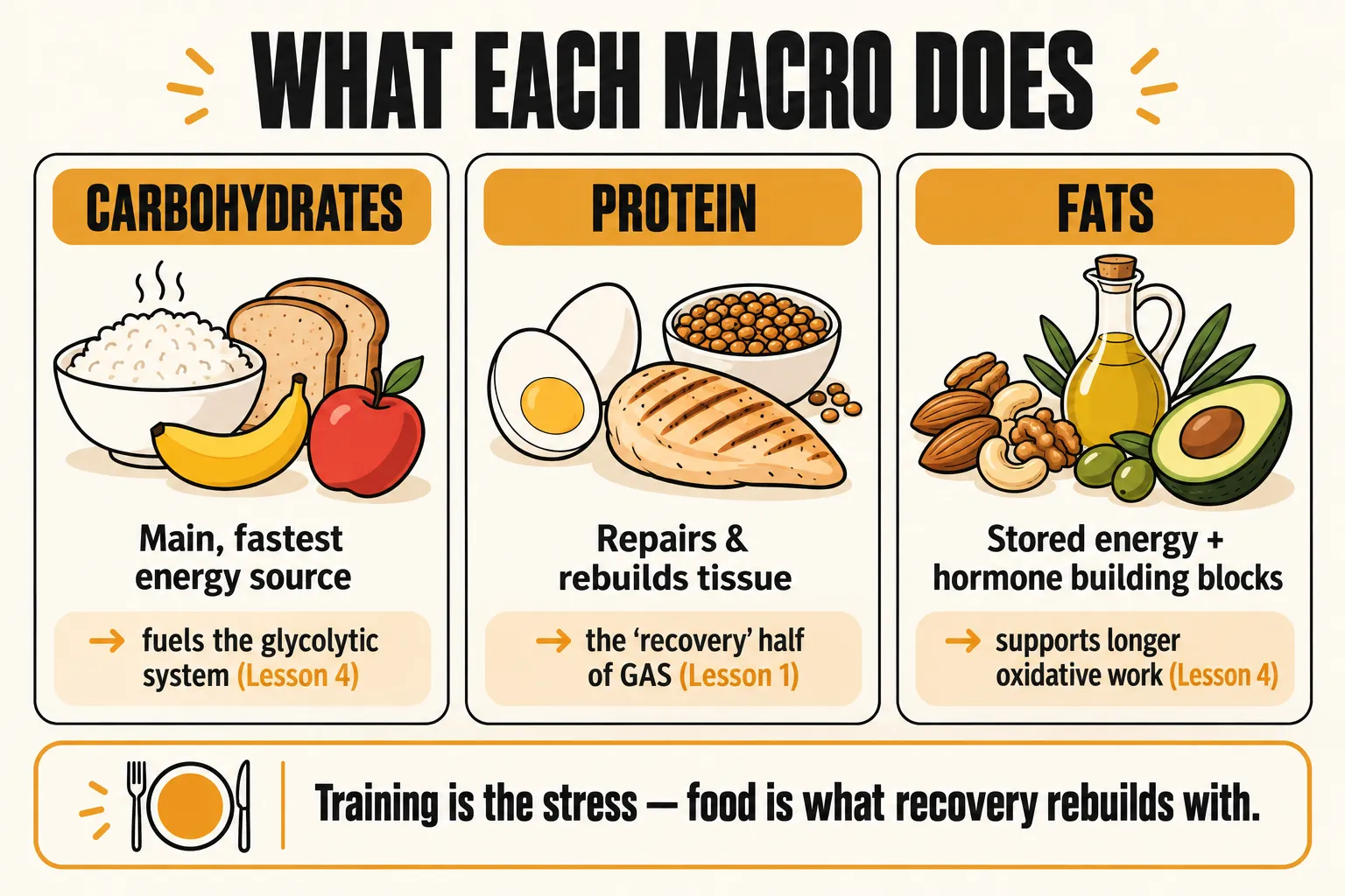 What each macronutrient does: carbohydrates are the main, fastest energy source that fuels the glycolytic system, protein repairs and rebuilds tissue as the recovery half of the General Adaptation Syndrome, and fats provide stored energy and hormone building blocks while supporting longer oxidative work