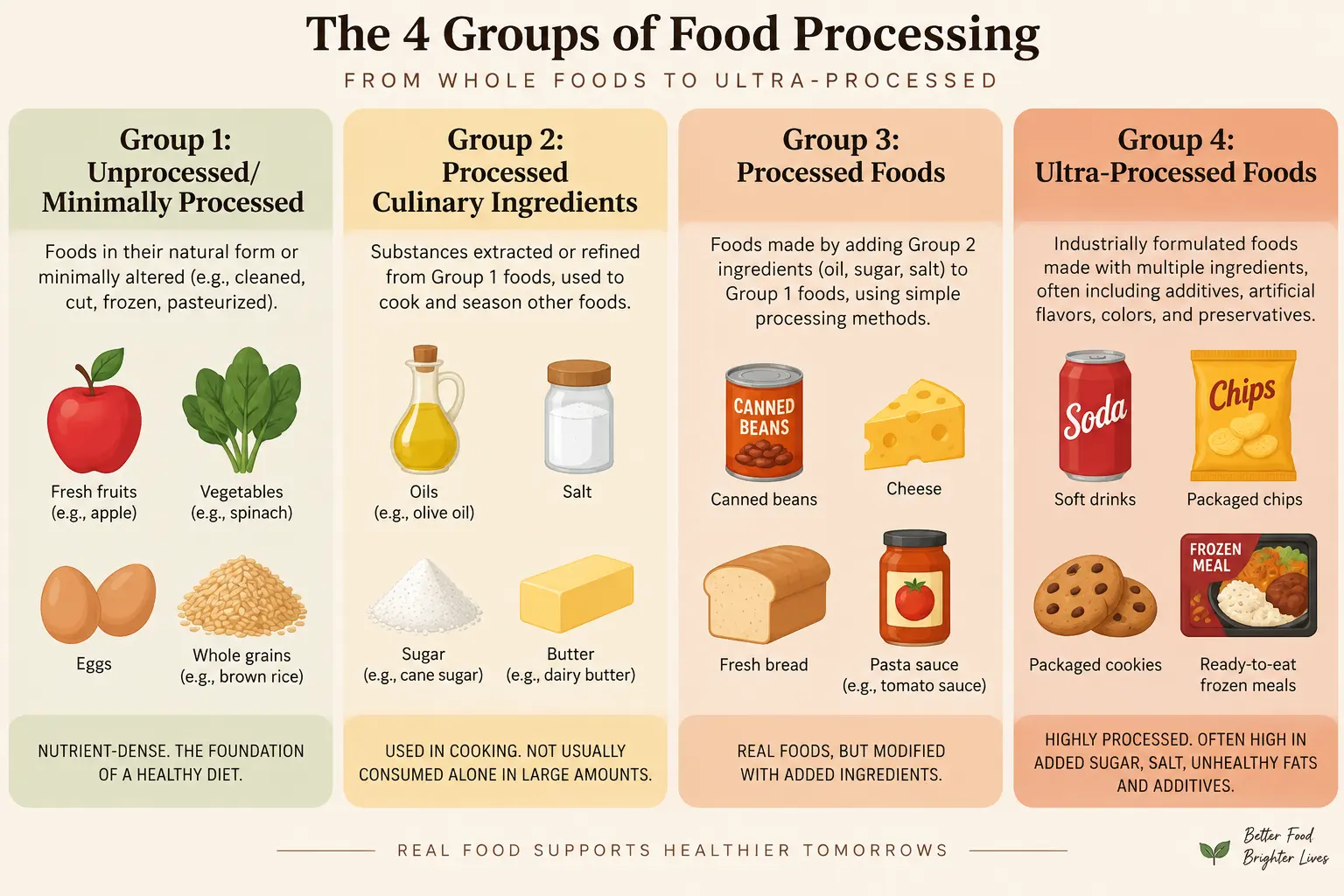 A four-column chart illustrating the NOVA classification groups from unprocessed foods to ultra-processed foods, with examples of each