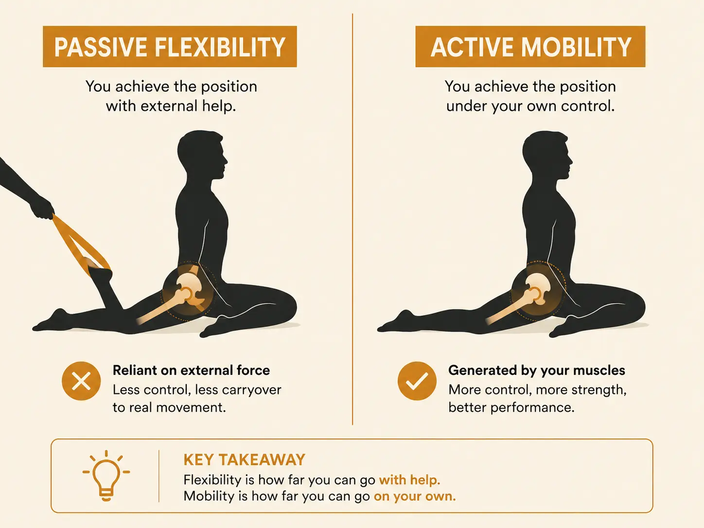 A side-by-side comparison illustration showing passive flexibility (assisted stretch) versus active mobility (controlled unassisted movement) at the hip joint