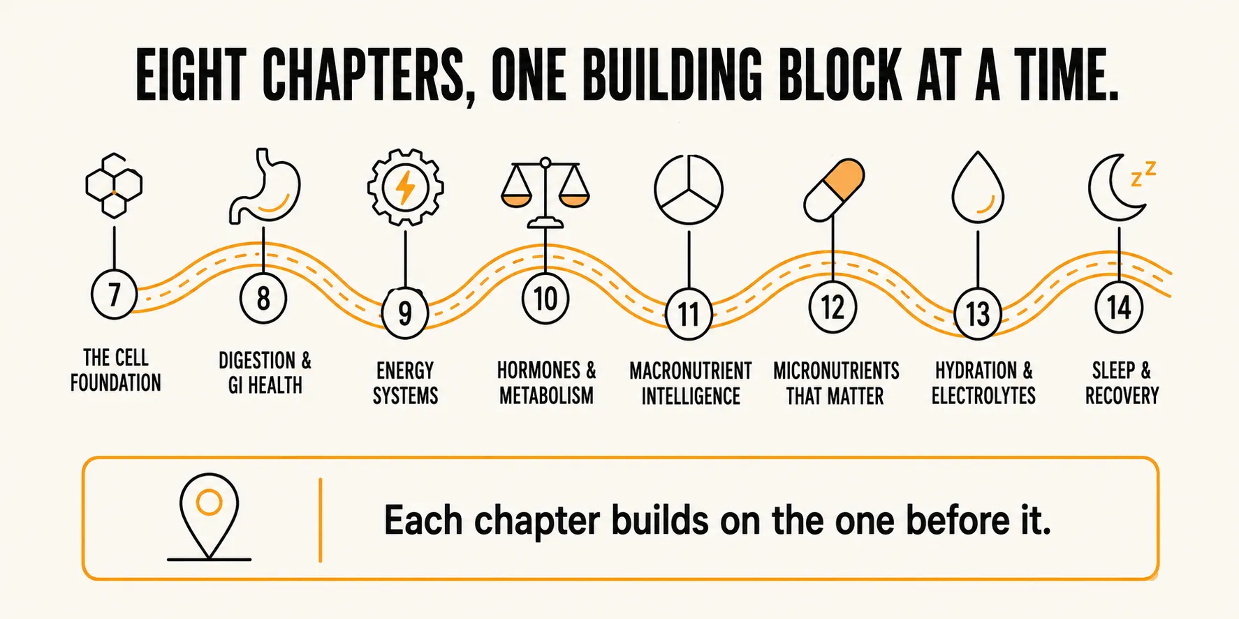 Winding road diagram of Unit 2's eight chapters, numbered 7 through 14, from the cell foundation through digestion, energy systems, hormones and metabolism, macronutrients, micronutrients, hydration, and sleep and recovery, with the caption each chapter builds on the one before it