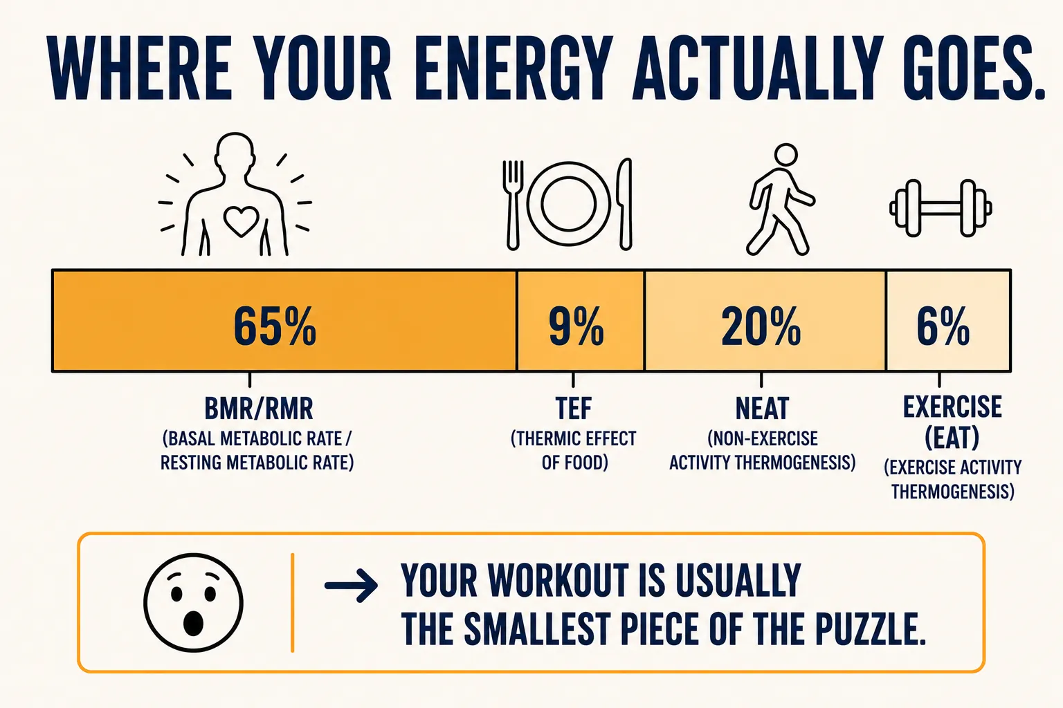 Stacked bar chart showing the four components of daily energy expenditure: BMR/RMR at 65%, thermic effect of food at 9%, NEAT at 20%, and exercise activity at 6%.