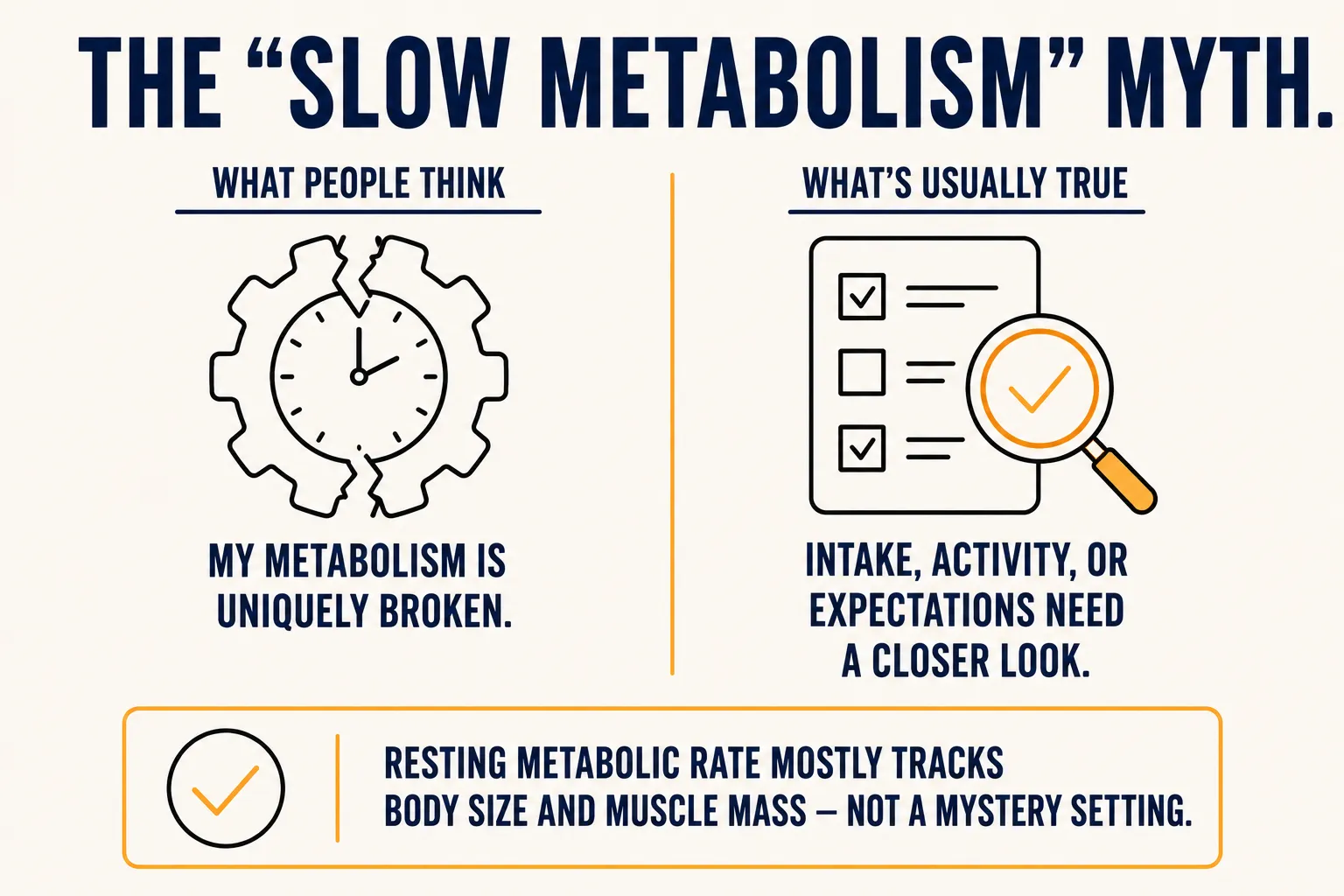 Two-column comparison: what people think ('my metabolism is uniquely broken') versus what's usually true (intake, activity, or expectations need a closer look), noting resting metabolic rate mostly tracks body size and muscle mass.