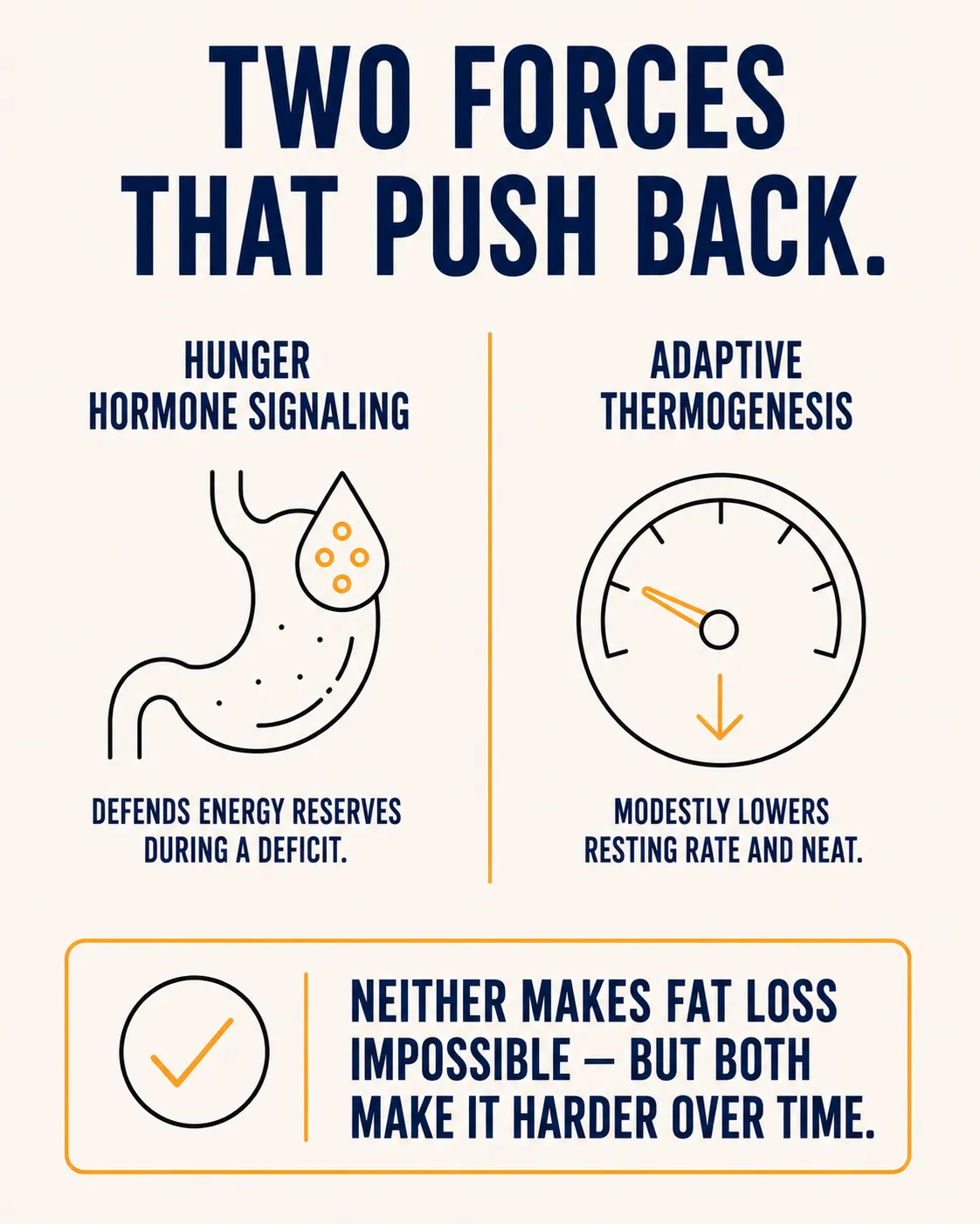 Comparison of two forces that push back against a calorie deficit: hunger hormone signaling, which defends energy reserves, and adaptive thermogenesis, which modestly lowers resting rate and NEAT.