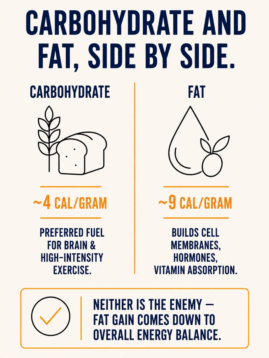 Side-by-side comparison of carbohydrate and fat: carbohydrate at about 4 calories per gram as the preferred fuel for brain and high-intensity exercise, fat at about 9 calories per gram building cell membranes, hormones, and enabling vitamin absorption.
