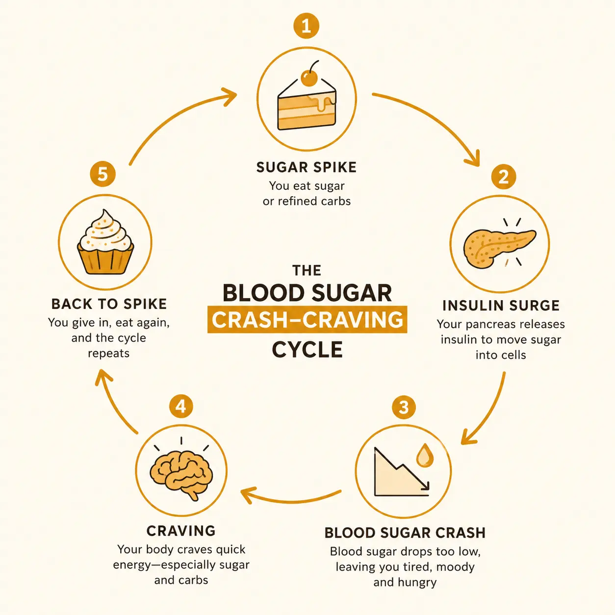 A diagram showing the blood sugar crash-craving cycle: sugar spike, insulin overshoot, blood sugar crash, and craving, looping back to another spike