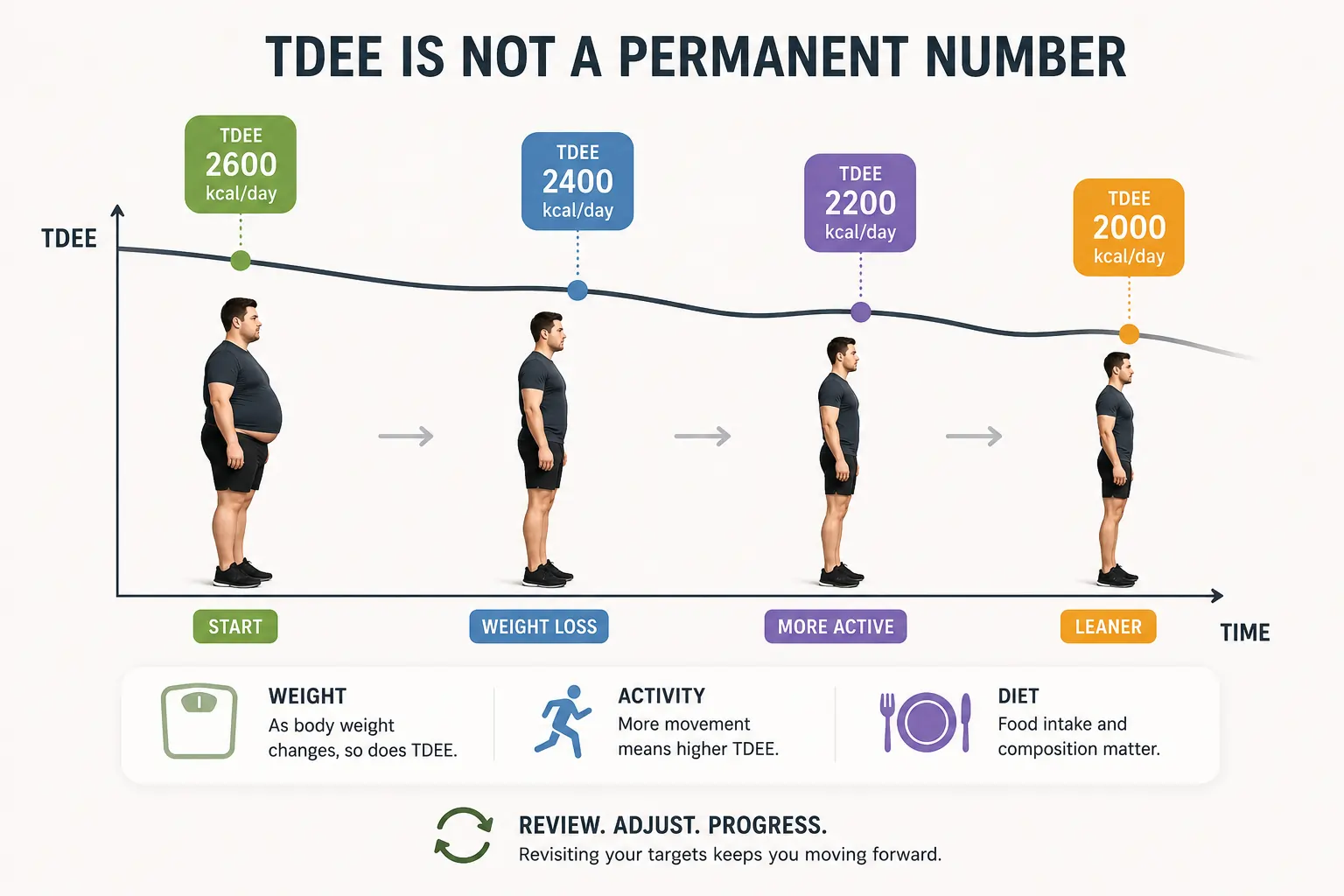 Person tracking fitness progress — representing the importance of regularly recalculating TDEE as body composition changes